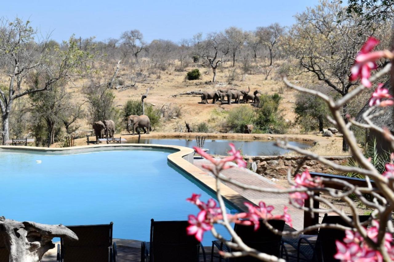 Milima Big 5 Safari Lodge Ходспруит Екстериор снимка