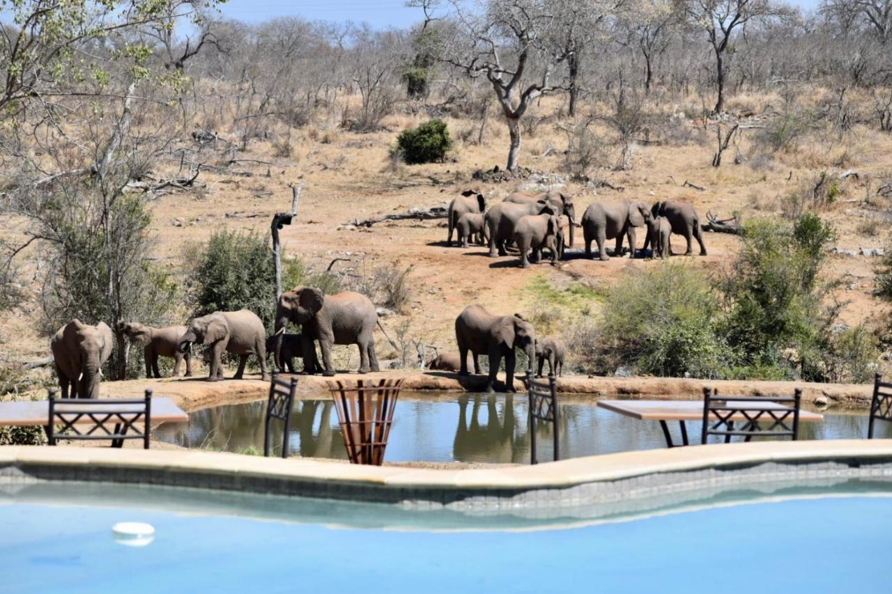 Milima Big 5 Safari Lodge Ходспруит Екстериор снимка