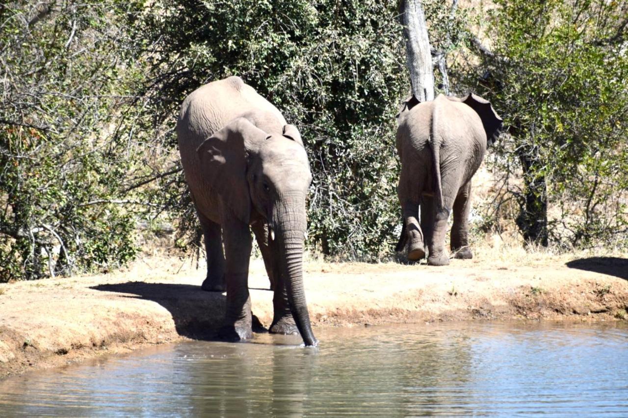 Milima Big 5 Safari Lodge Ходспруит Екстериор снимка