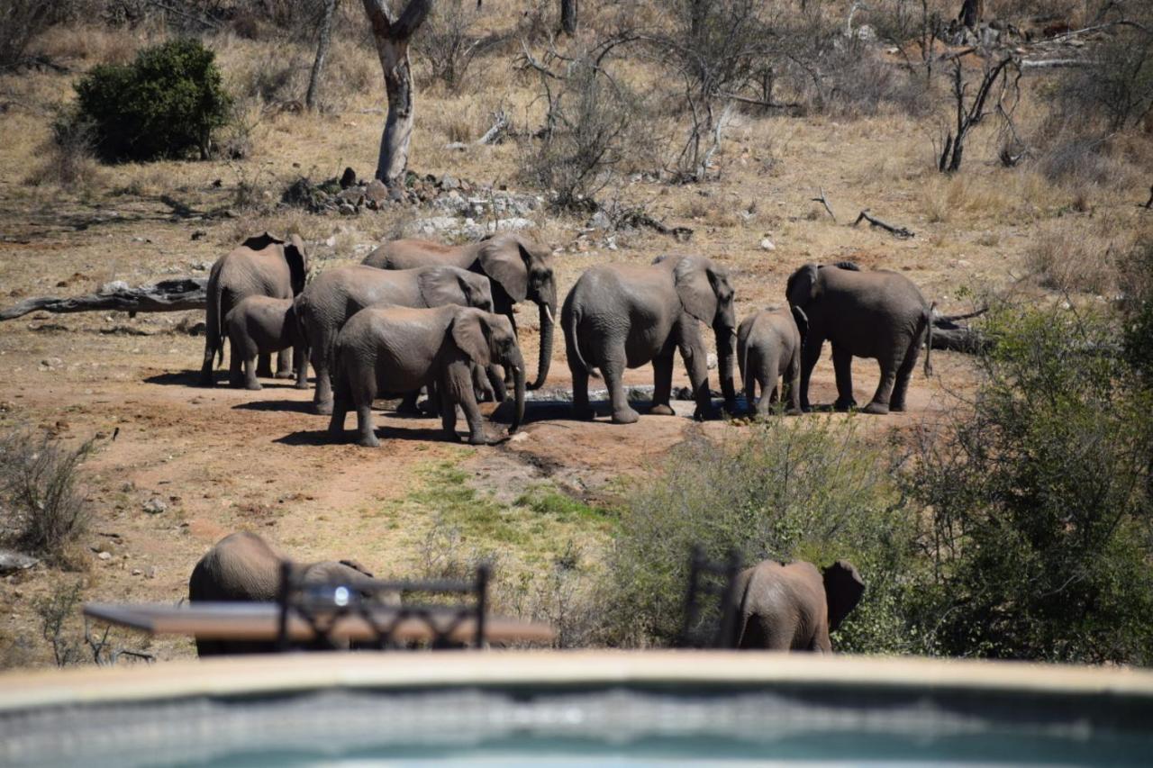 Milima Big 5 Safari Lodge Ходспруит Екстериор снимка