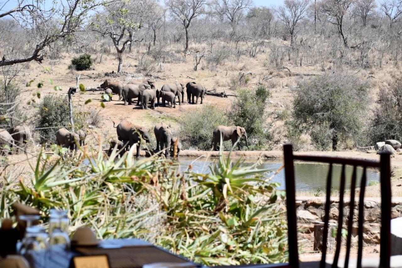 Milima Big 5 Safari Lodge Ходспруит Екстериор снимка