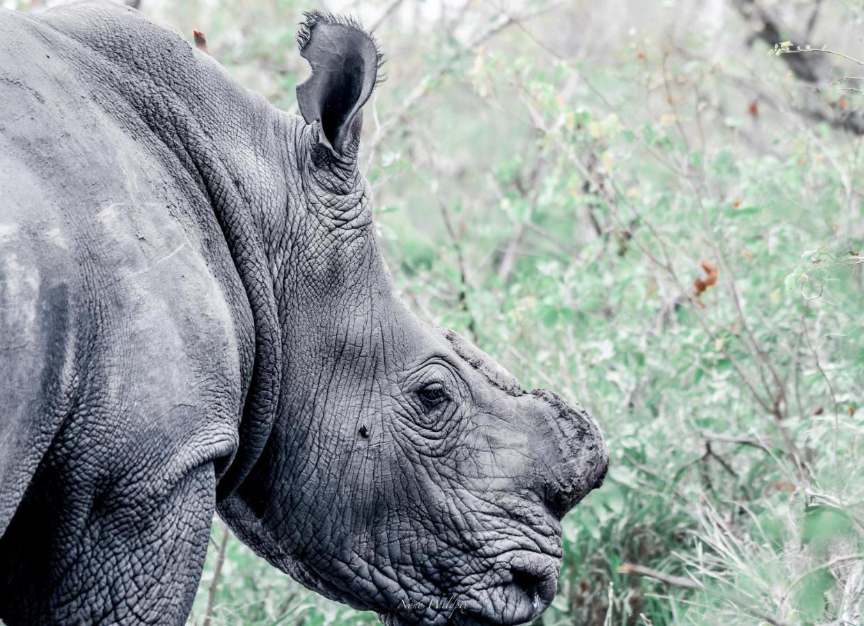 Milima Big 5 Safari Lodge Ходспруит Екстериор снимка