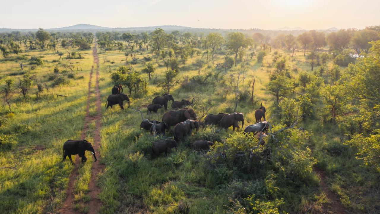 Milima Big 5 Safari Lodge Ходспруит Екстериор снимка